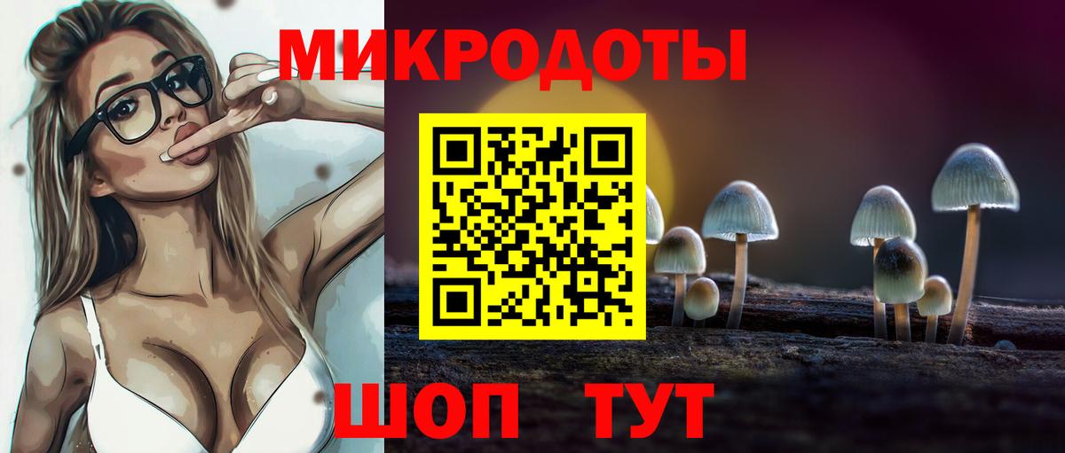 Галлюциногенные грибы Cubensis  Вход с VPN  Ейск 